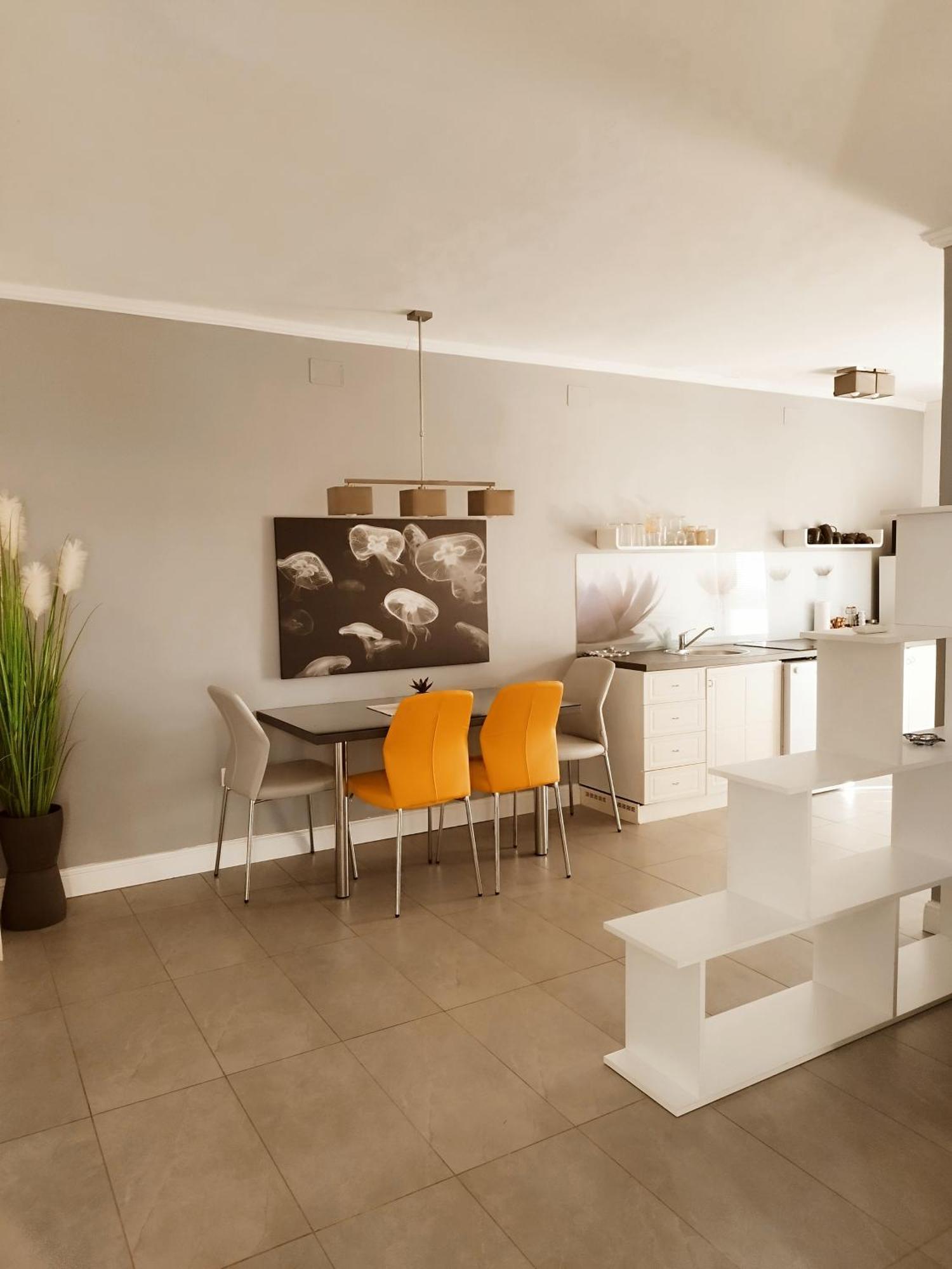 Apartments Merlin Novigrad Istria Habitación foto
